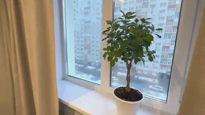 Город Самара , проспект Кирова 322А к3